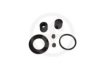 AUTOFREN SEINSA D4482 Repair Kit, brake caliper